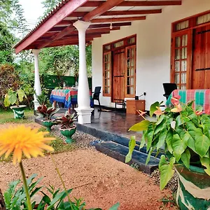 Sigiri Shen , Sigirija Sri Lanka